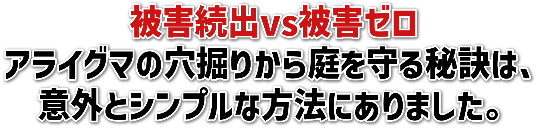 QovsQ[ACO}̌@肩錍́AӊOƃVvȕ@ɂ܂B