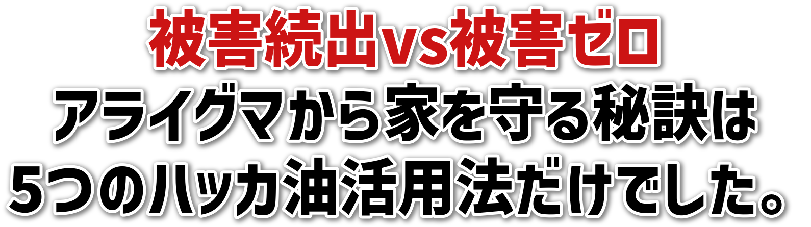 QovsQ[ACO}Ƃ錍5̃nbJp@łB